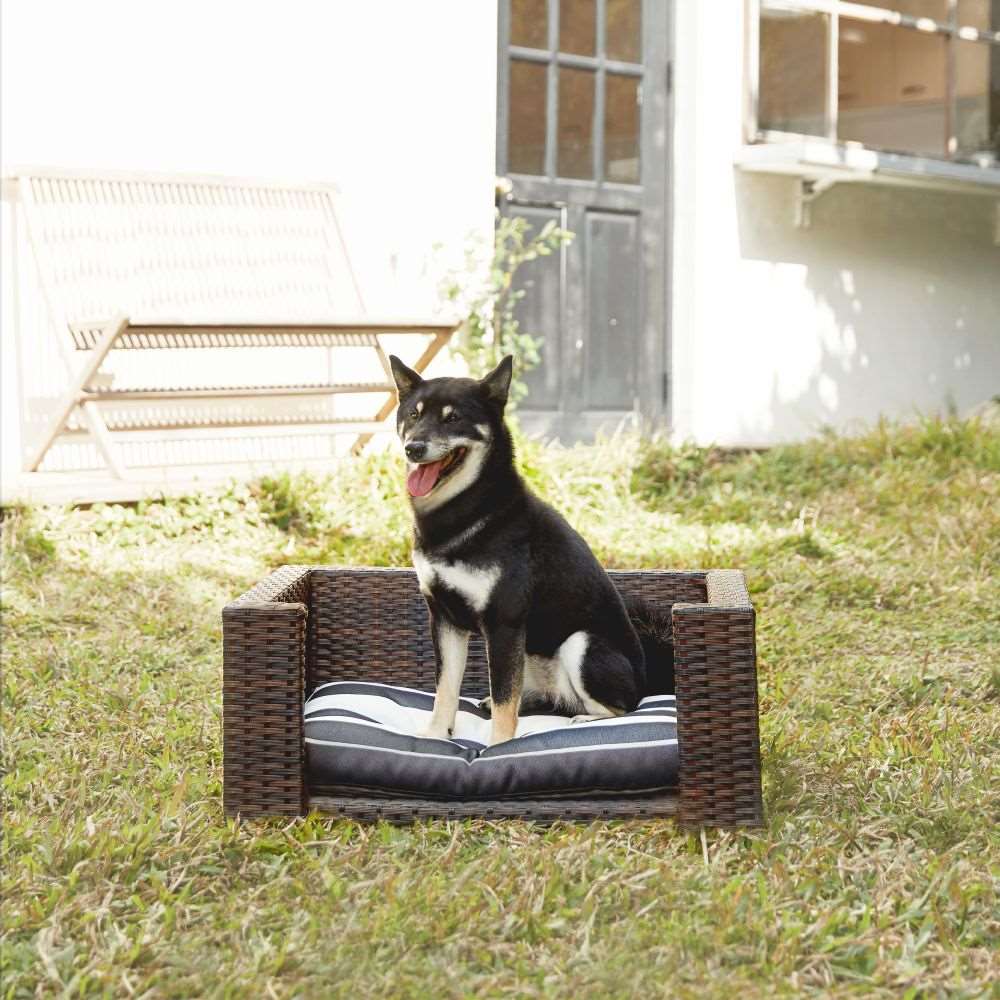 Indoor Outdoor Cat or Dog Elevated Rattan Bed
