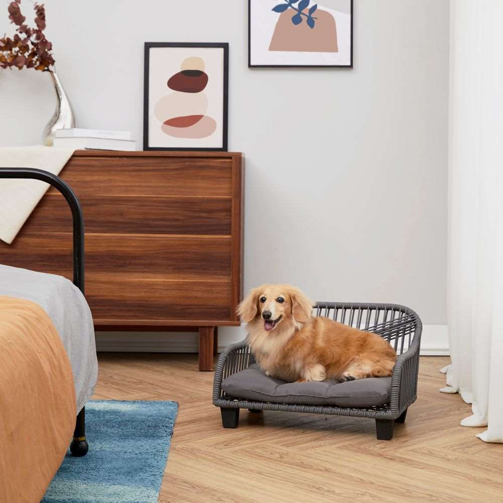 Indoor Outdoor Woven Cat & Dog Sofa Bed Lounger