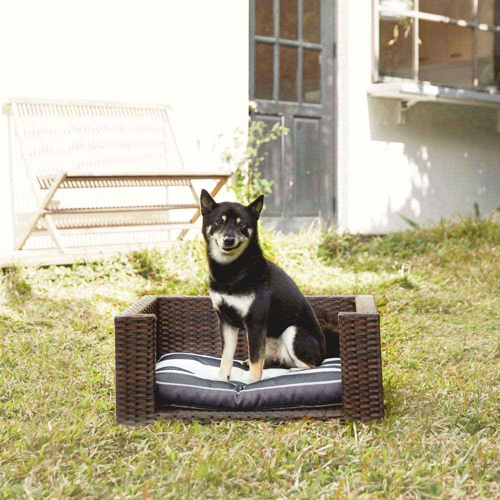 Indoor Outdoor Cat or Dog Elevated Rattan Bed