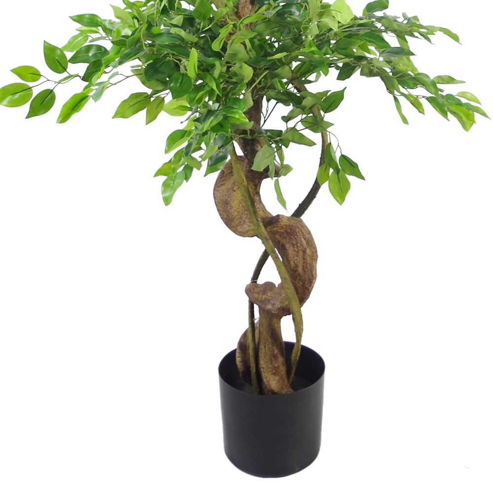 150cm Twisted Trunk Artificial Japanese Fruticosa Style Ficus Tree