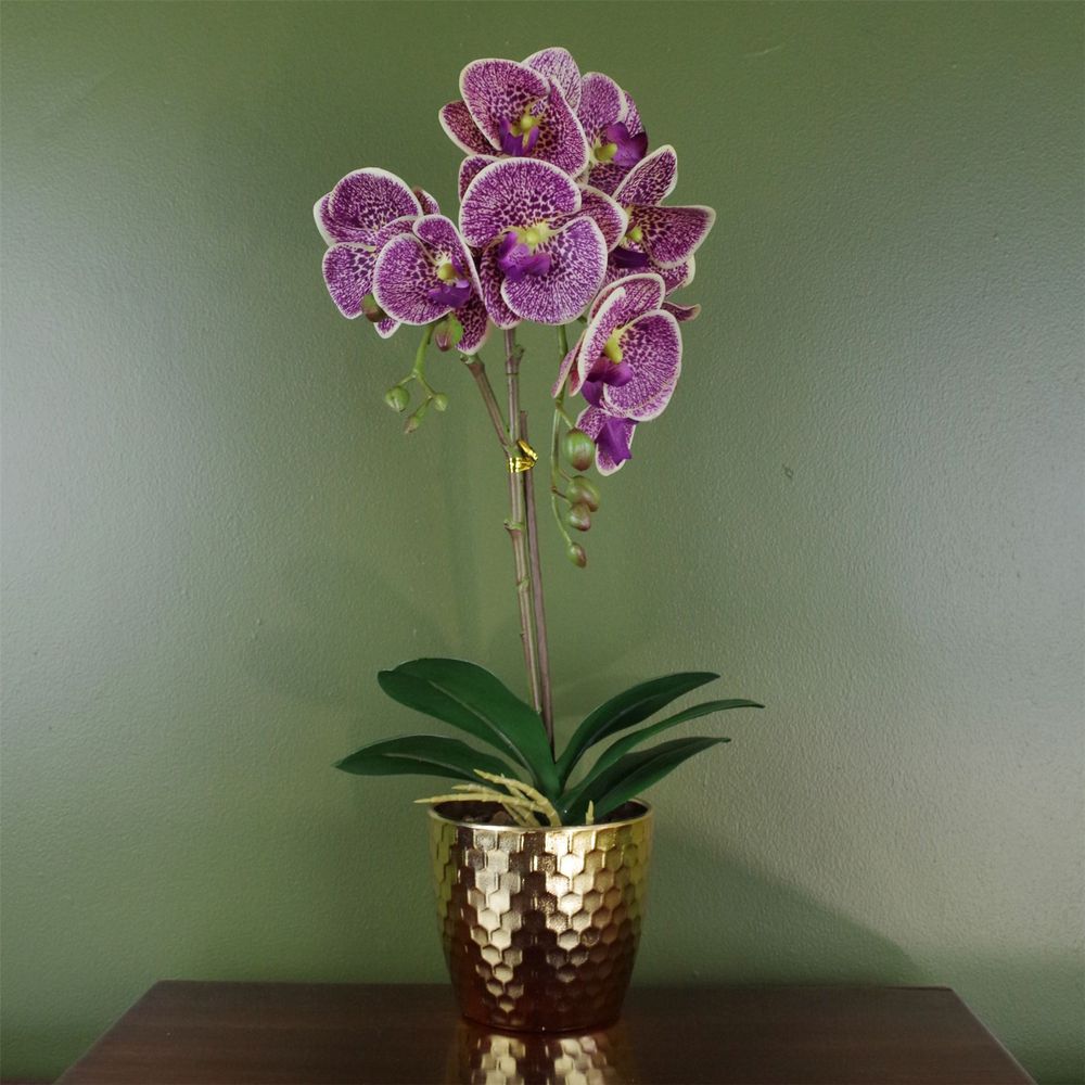 50cm Phalaenopsis Orchid Artificial - Purple Leopard - Gold Pot