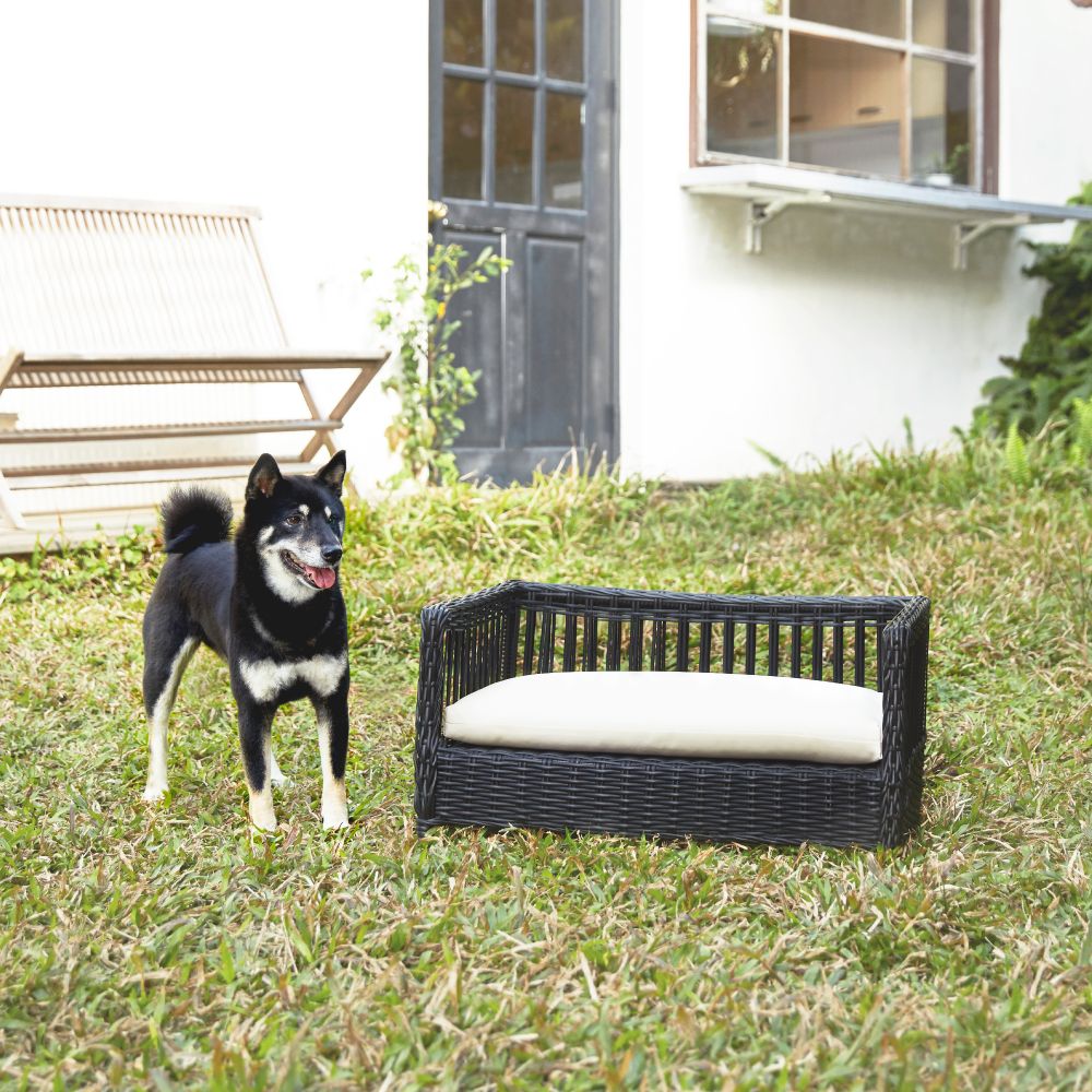 Indoor Outdoor Rattan Cat or Small Dog Bed Sofa Water Resistant