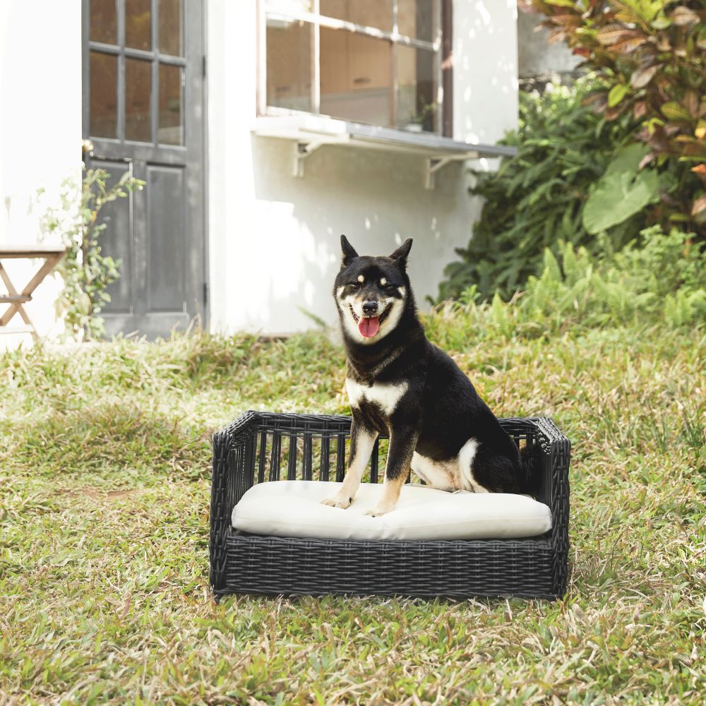 Indoor Outdoor Rattan Cat or Small Dog Bed Sofa Water Resistant
